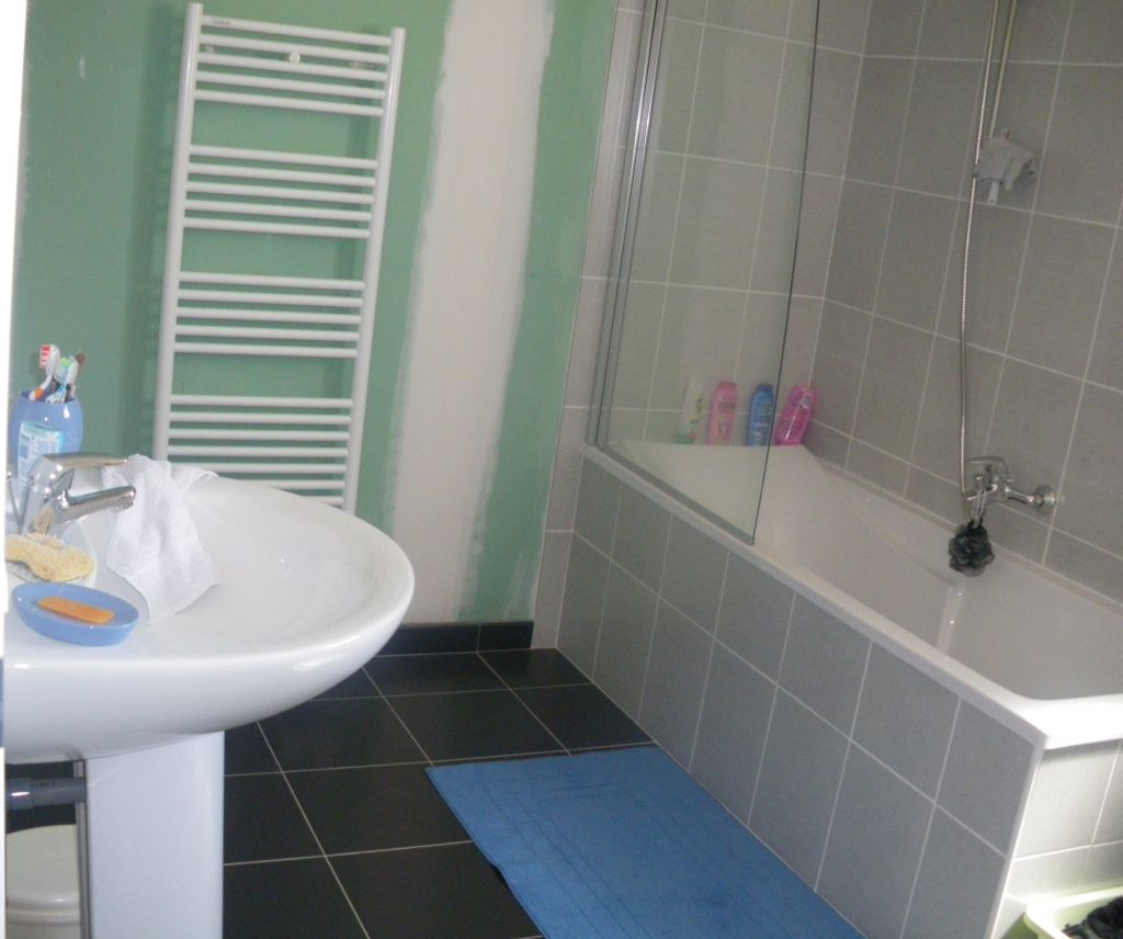 Aide idée salle de bain avec carrelage anthracite... 14 messages