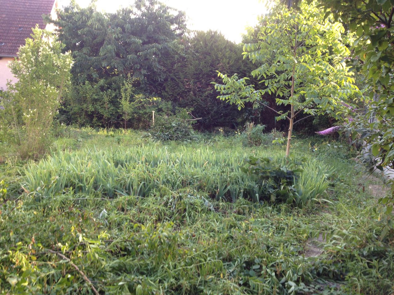 Le petit terrain de 260m2 est l'ancien jardin d'une maison des annes 1950.