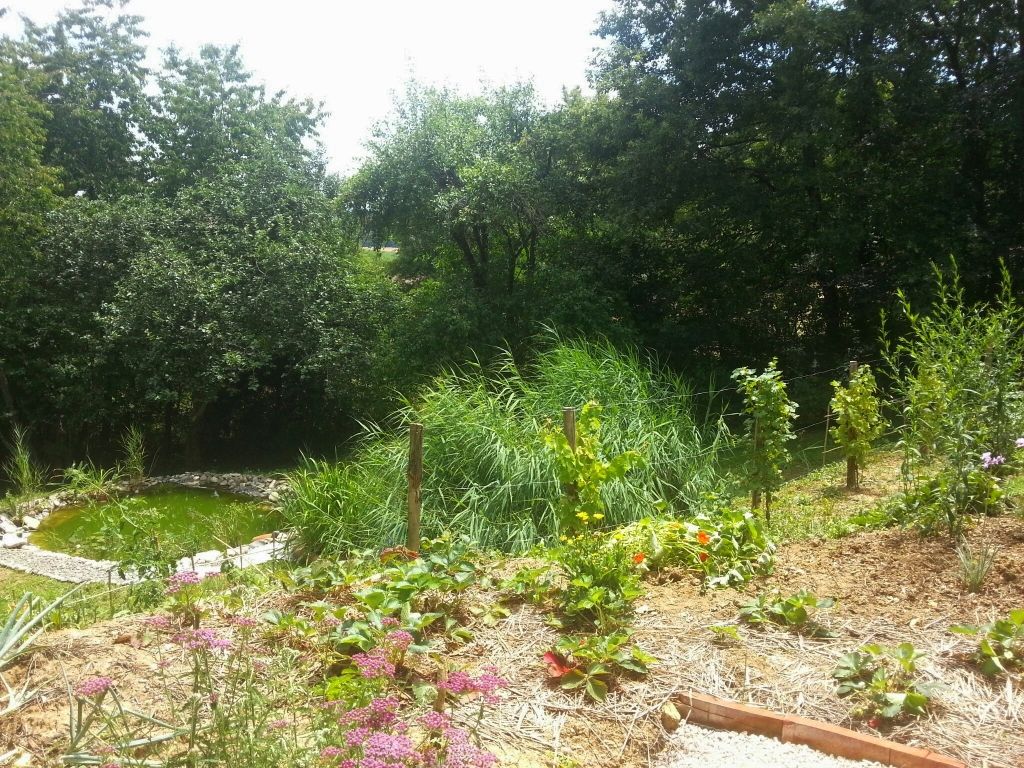Depuis la terrasse
