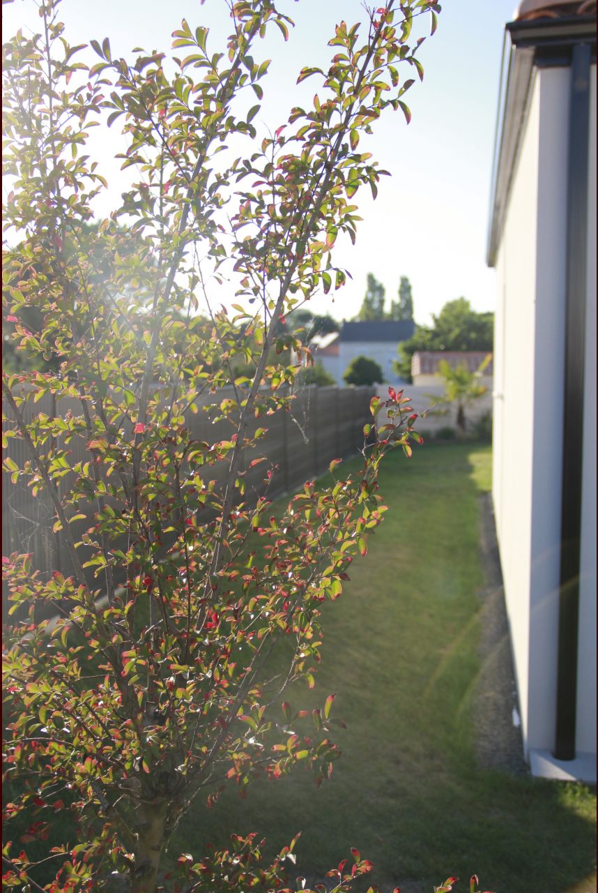 fin du jardin