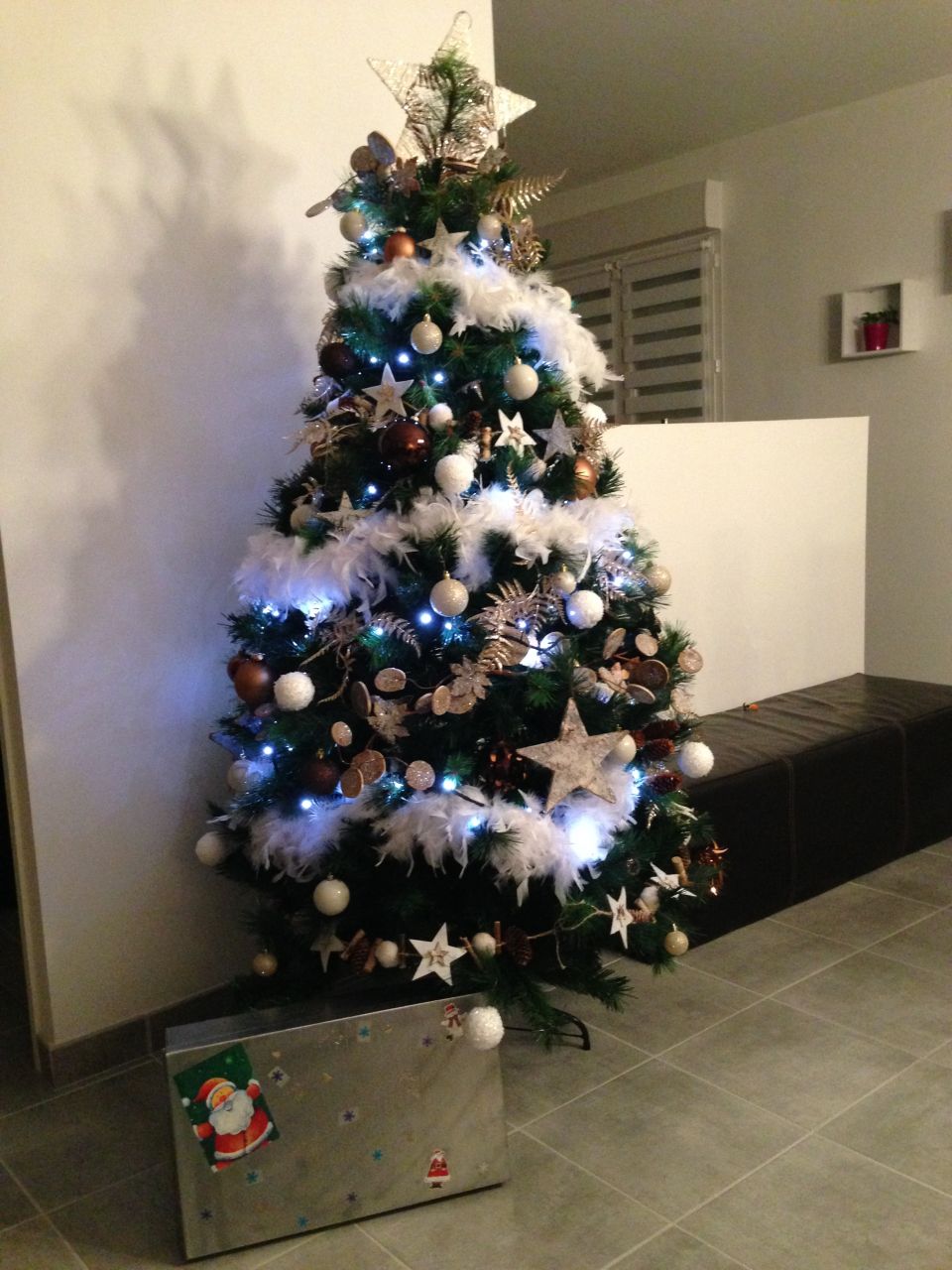 Sapin 2014