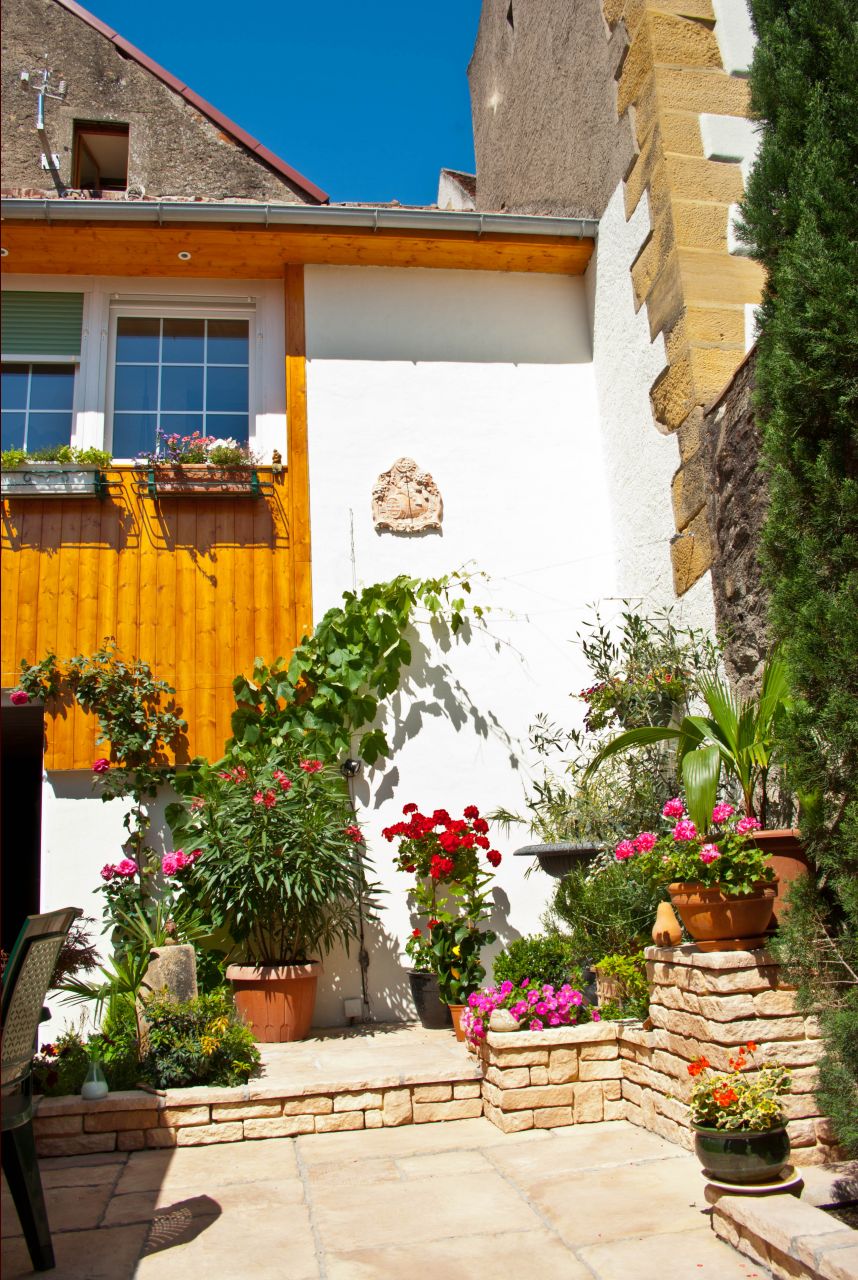 Cour fleurie en été