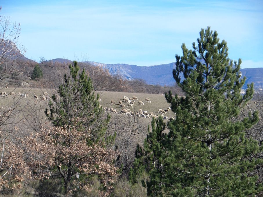 Depuis la terrasse est