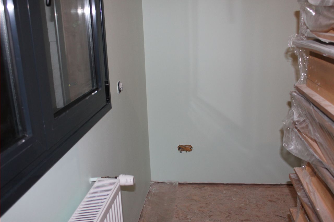 Vert d'eau (chambre enfant)