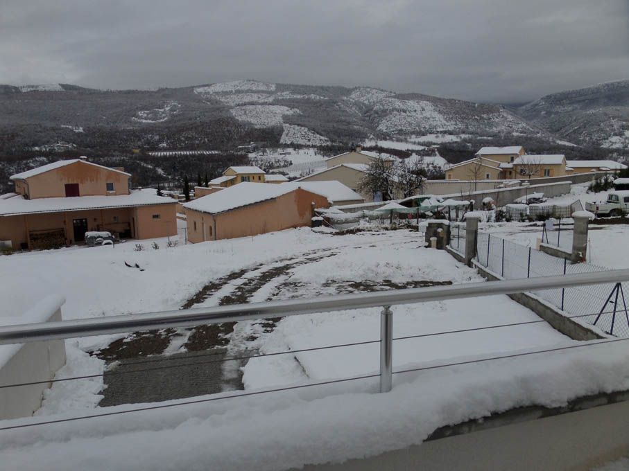 Paysage d'hiver
