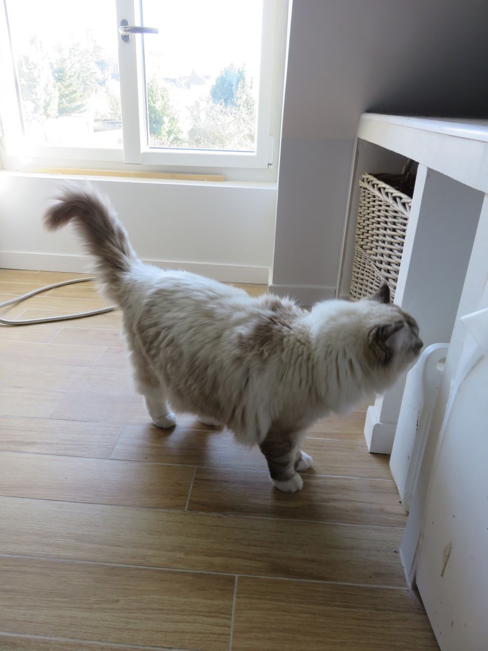 Inspectrice des travaux finis !