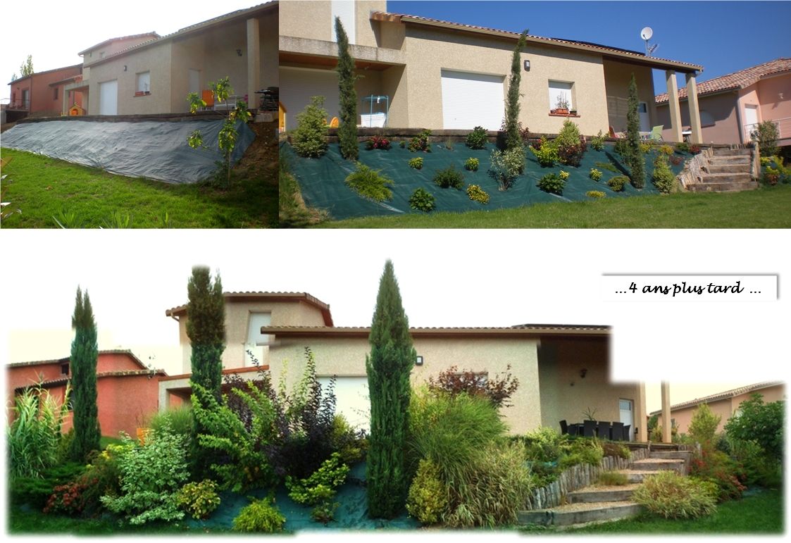 Végétaux - plantation - haies - Thumereville (Meurthe Et Moselle - 54) - mars 2015 Végétaux - plantation - haies - Thumereville (Meurthe Et Moselle - 54) - mars 2015