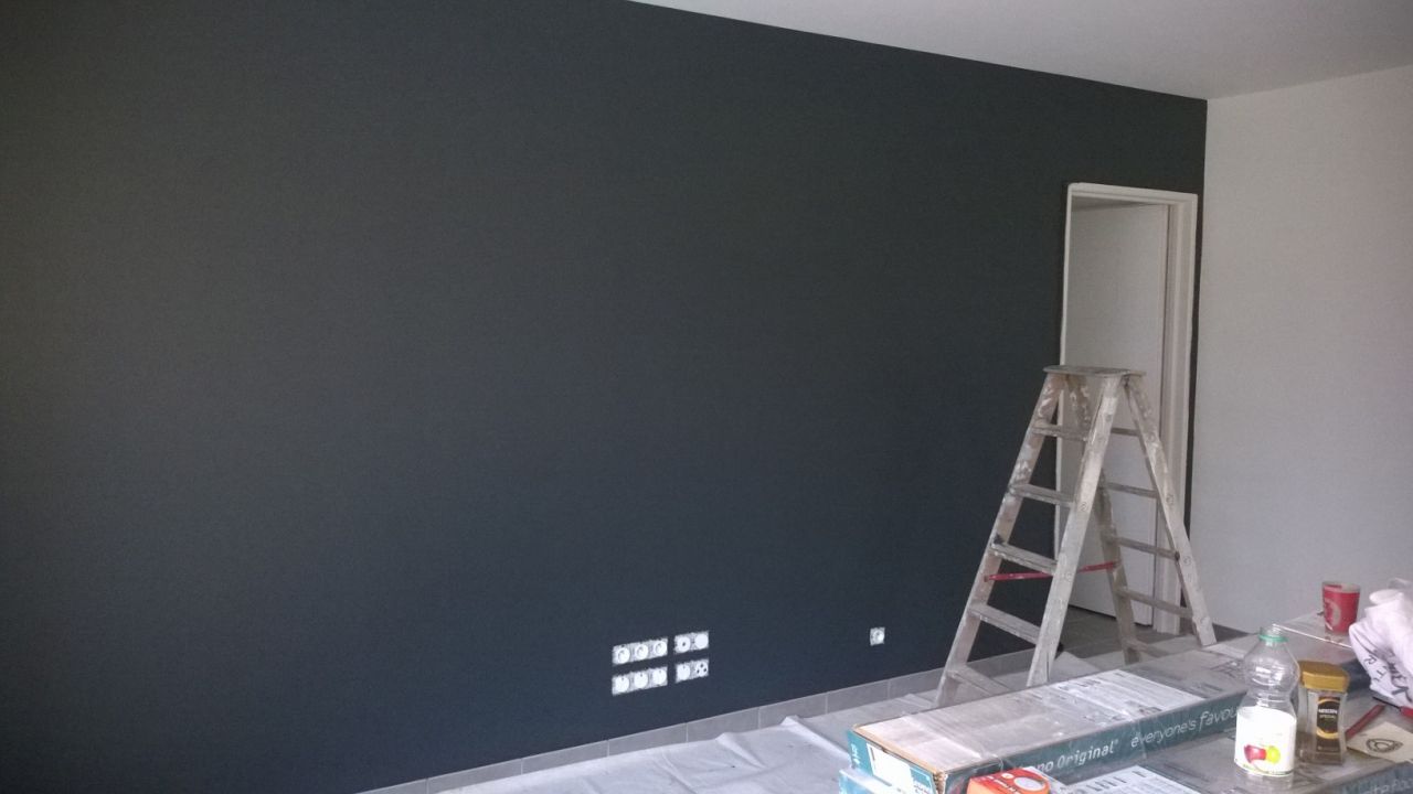 Salon - Mur Gris Algol
