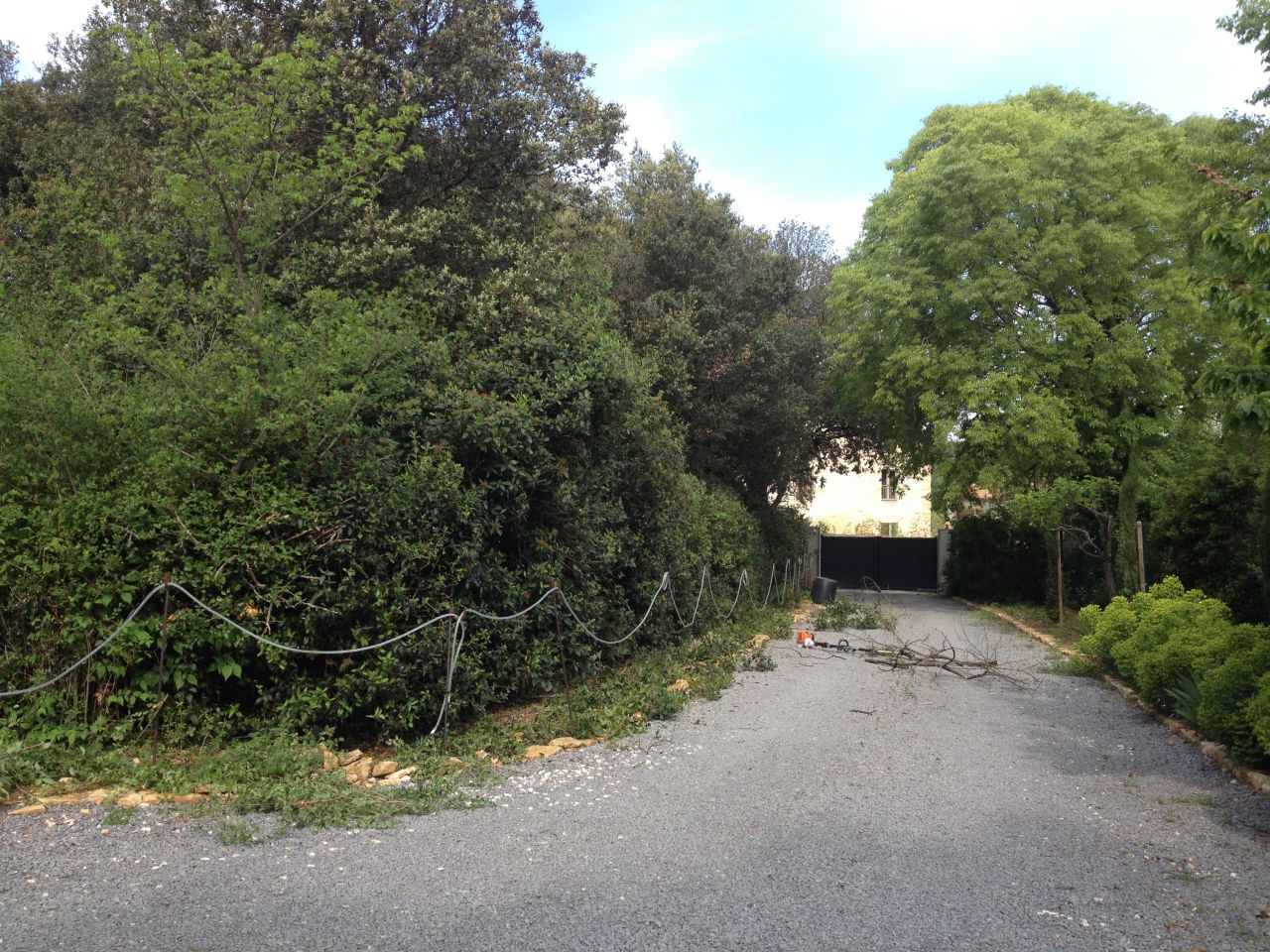 l'allée de l'entrée, vue côté sortie