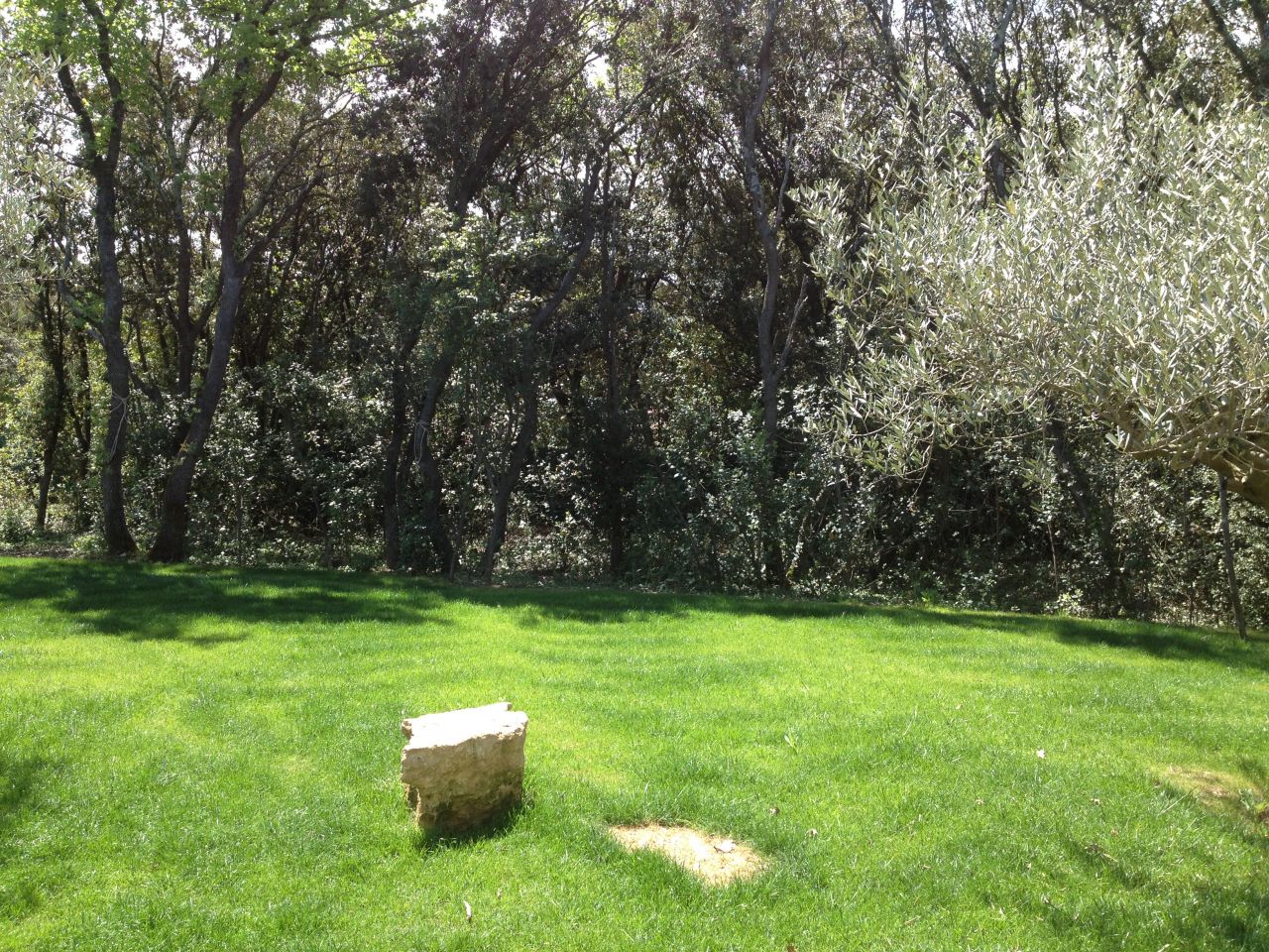 fond du jardin avant