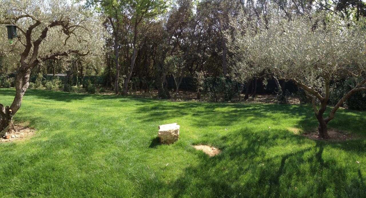 fond du jardin: après