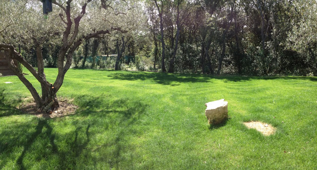 fond du jardin avant