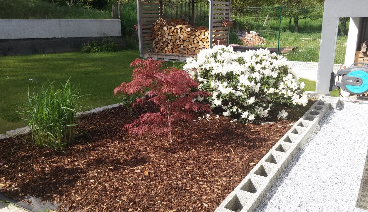 rhododendron