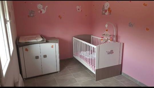 chambre bébé9 jules avec thème iris et babette