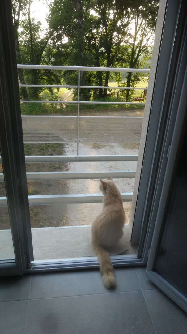 pas de plancher au balcon ....a ne me gne pas !