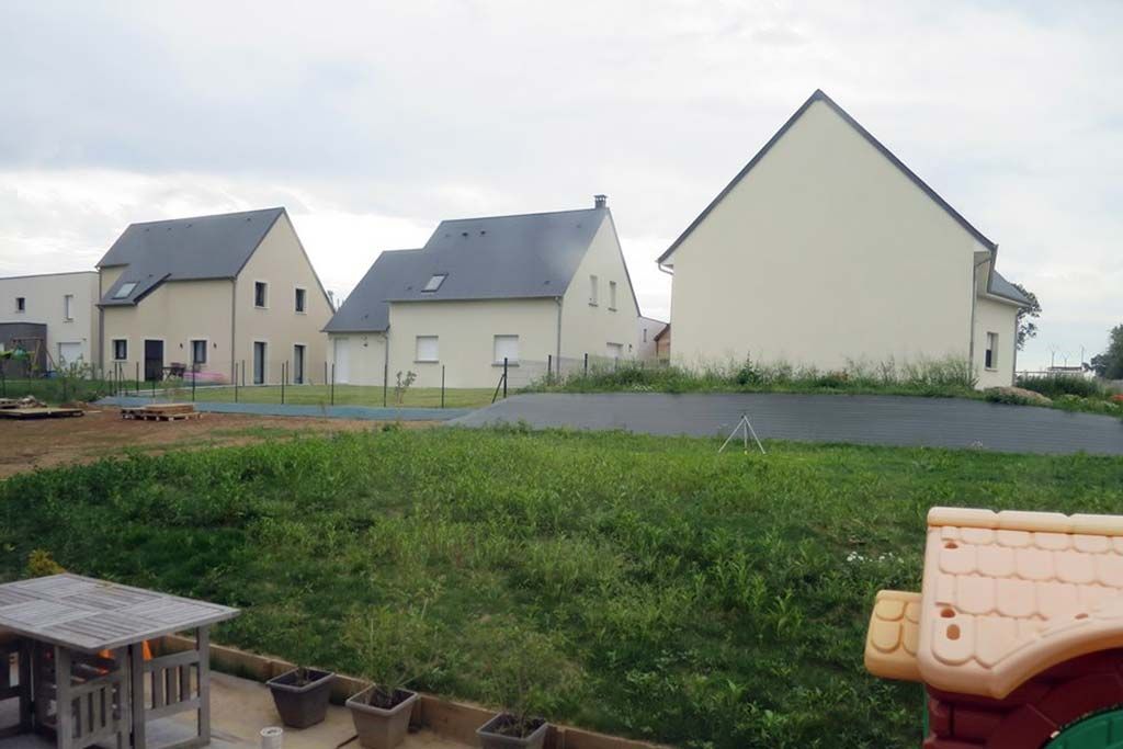 Avant la premiere tonte... plein de mauvaises herbes... mais du gazon en dessous !