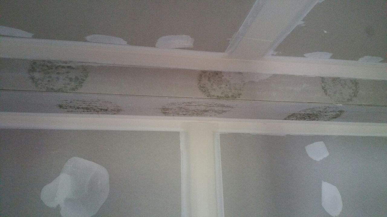 Dbut de la moisissure sur les plafonds