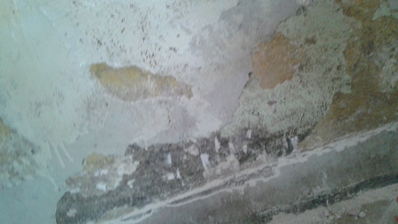 bas du mur du renfoncement il semble y avoir une "plainte" plus dure.
<br />
on voit ici encore des traces des moisissures aprs nettoyage.