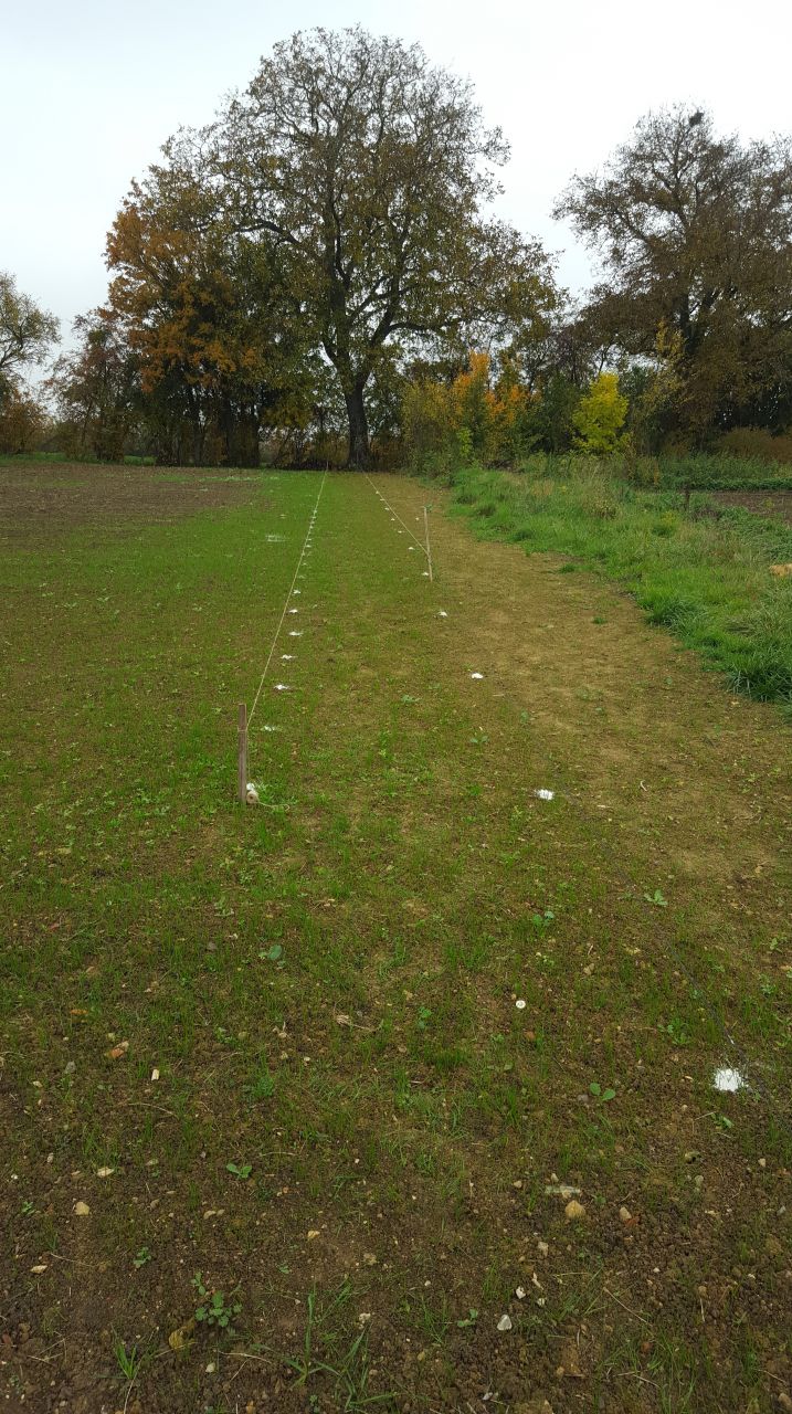 préparation pour pose grillage simple torsion et haies .