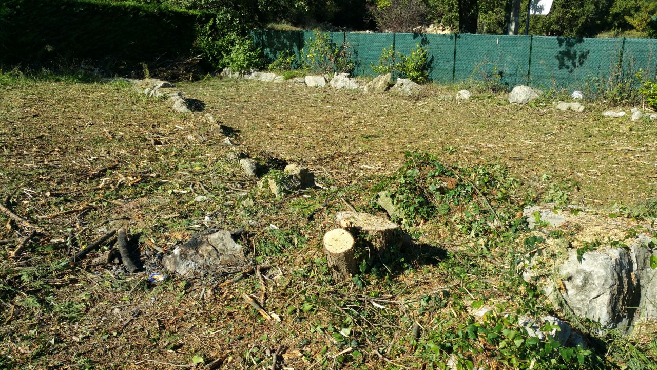 Les 3 arbres au milieu du terrain ont été abattus pour laisser place à la maison