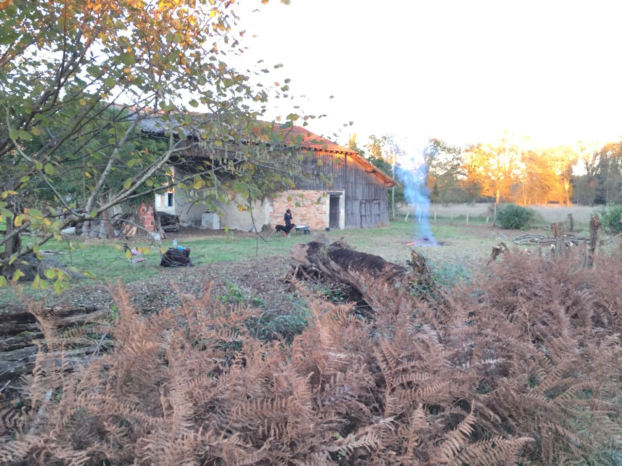Coté sud devant la grange - Piquet d'axe du futur portail