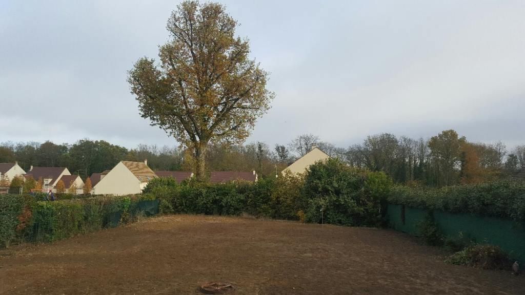 le jardin nettoyé