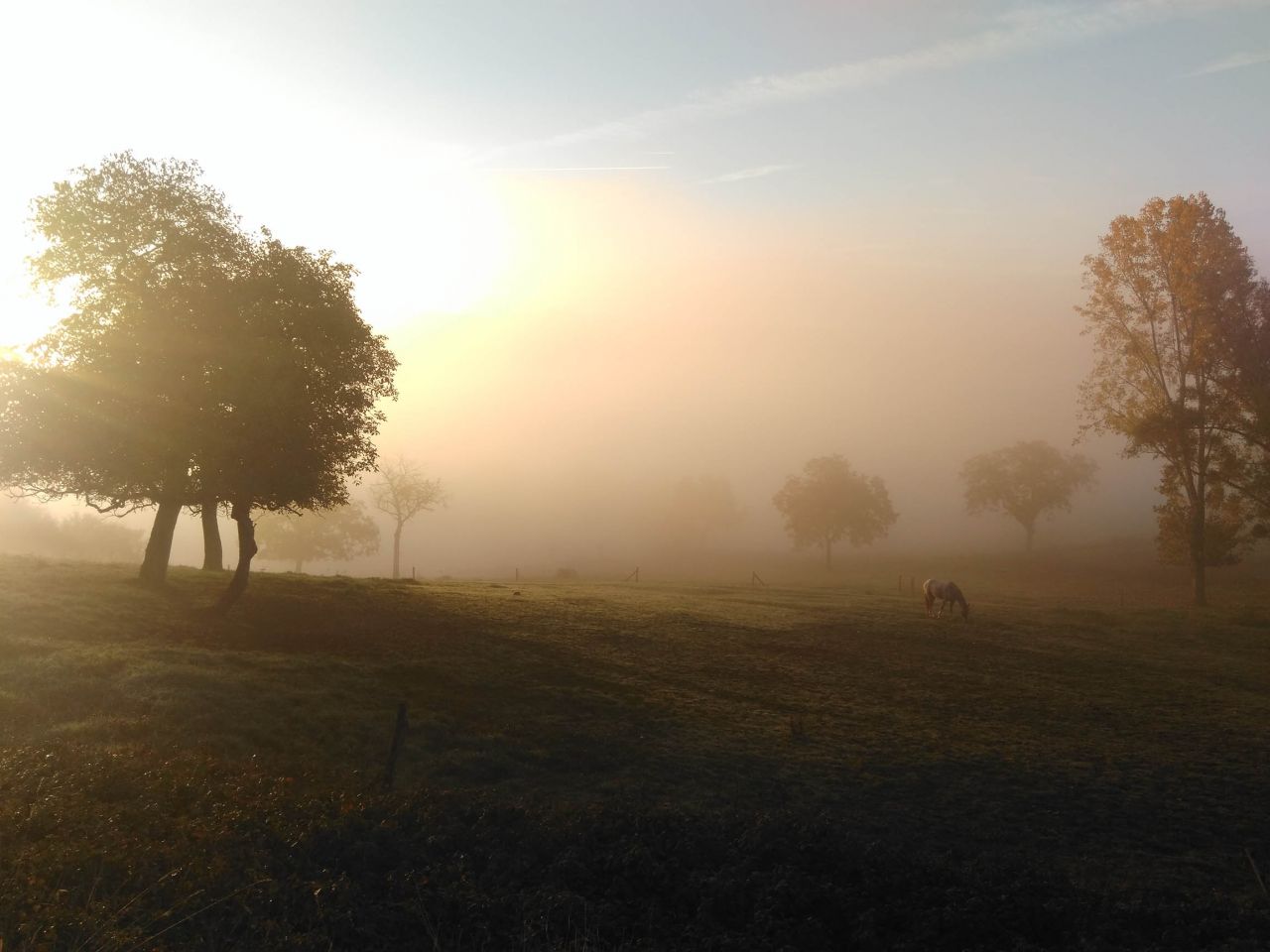 Photo  7h30 de notre jardin ... que dire ...