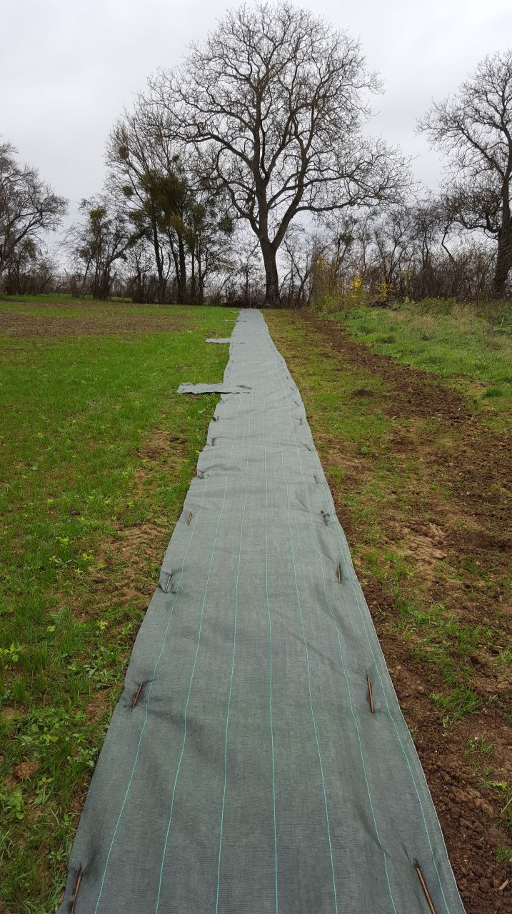 60m de Toile de paillage ok