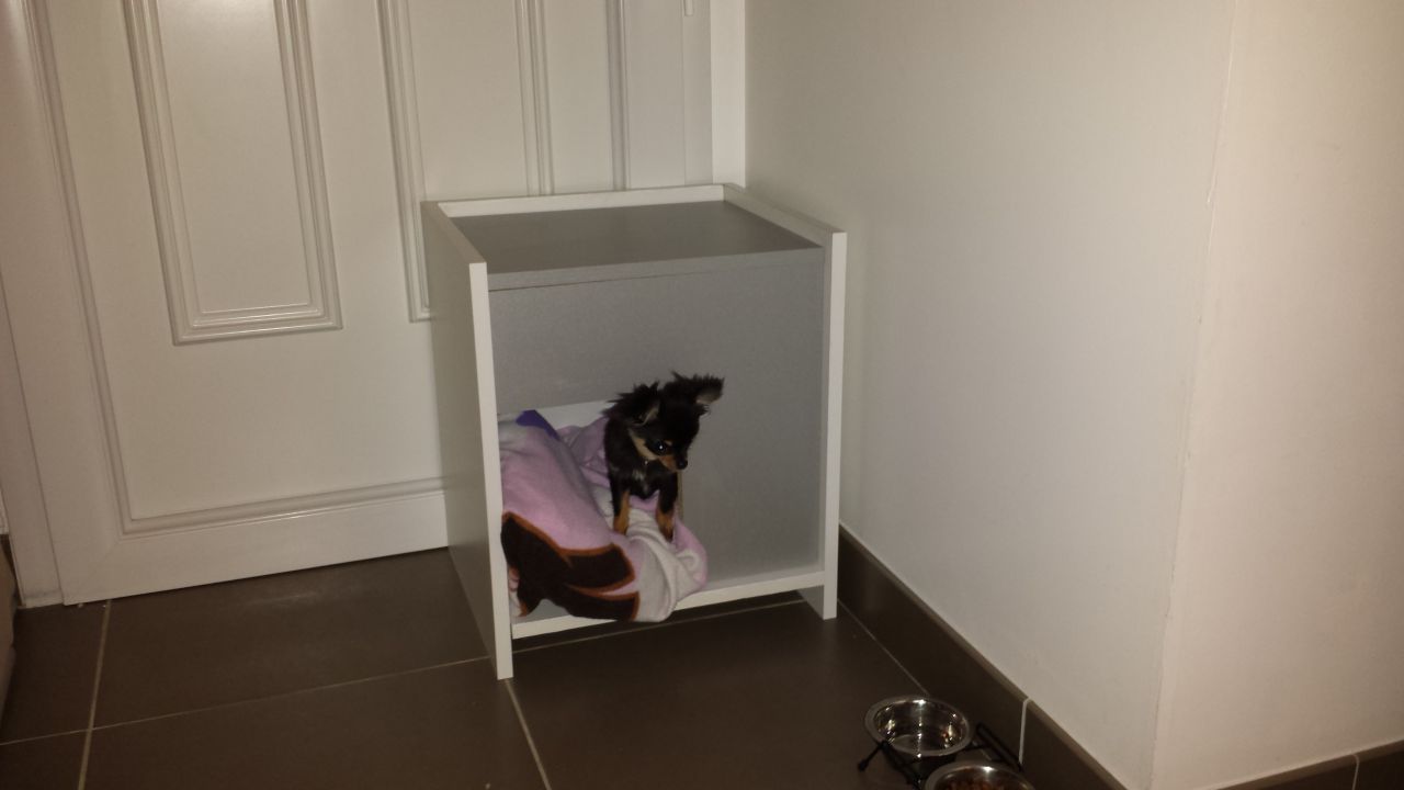 la niche de chien fait maison