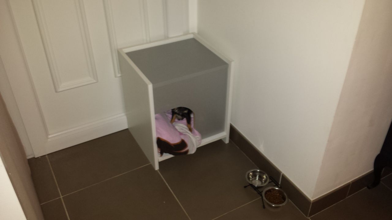 la niche de chien fait maison