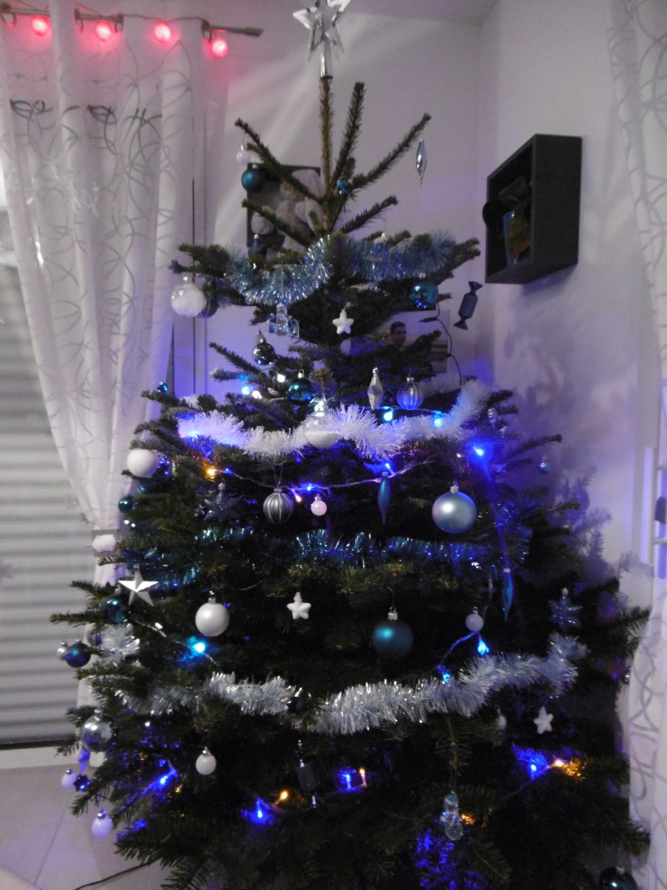 voila noel