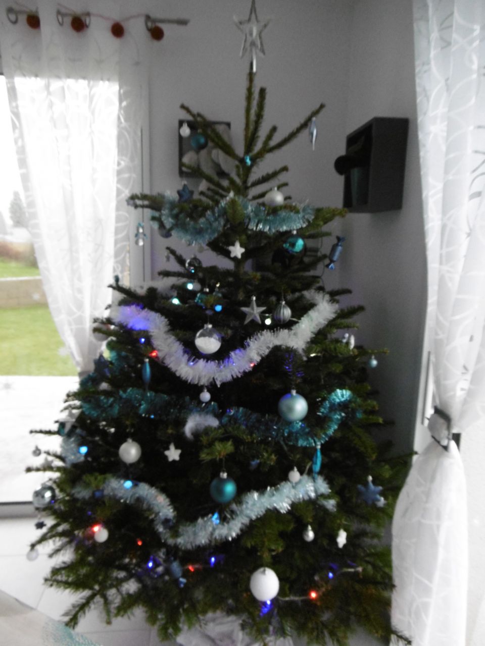 voila noel