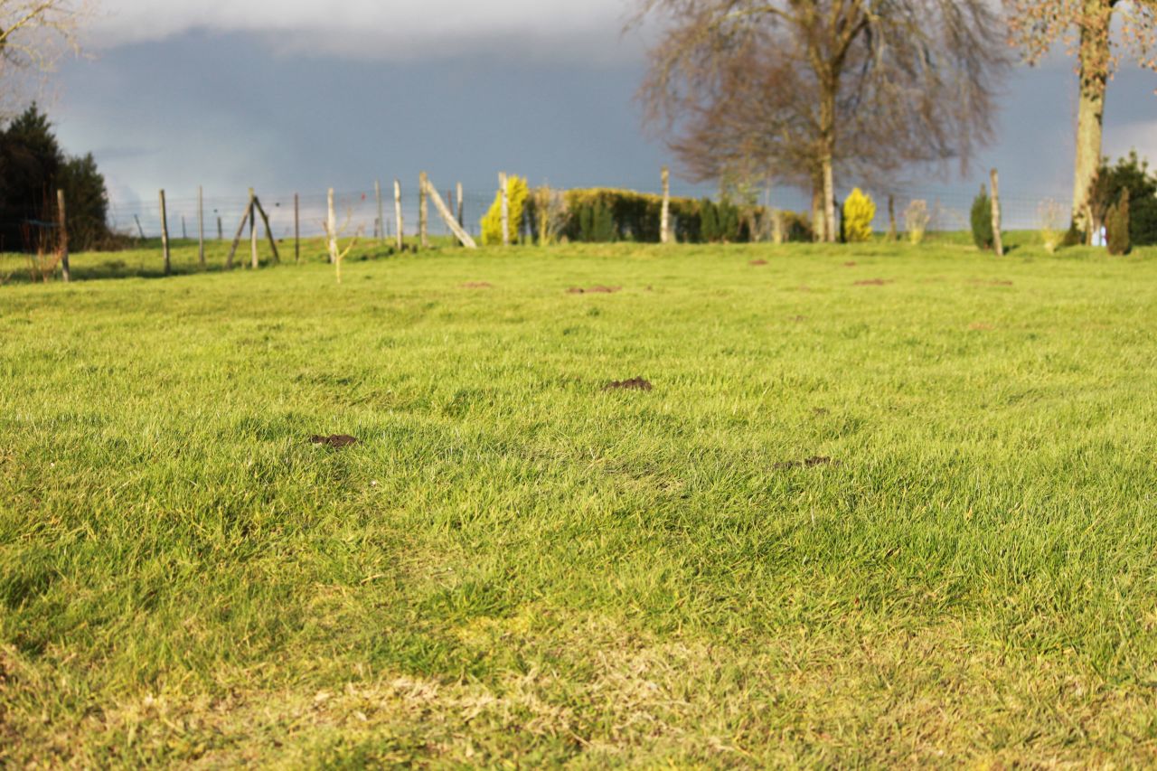 Accs terrain avant terrassement