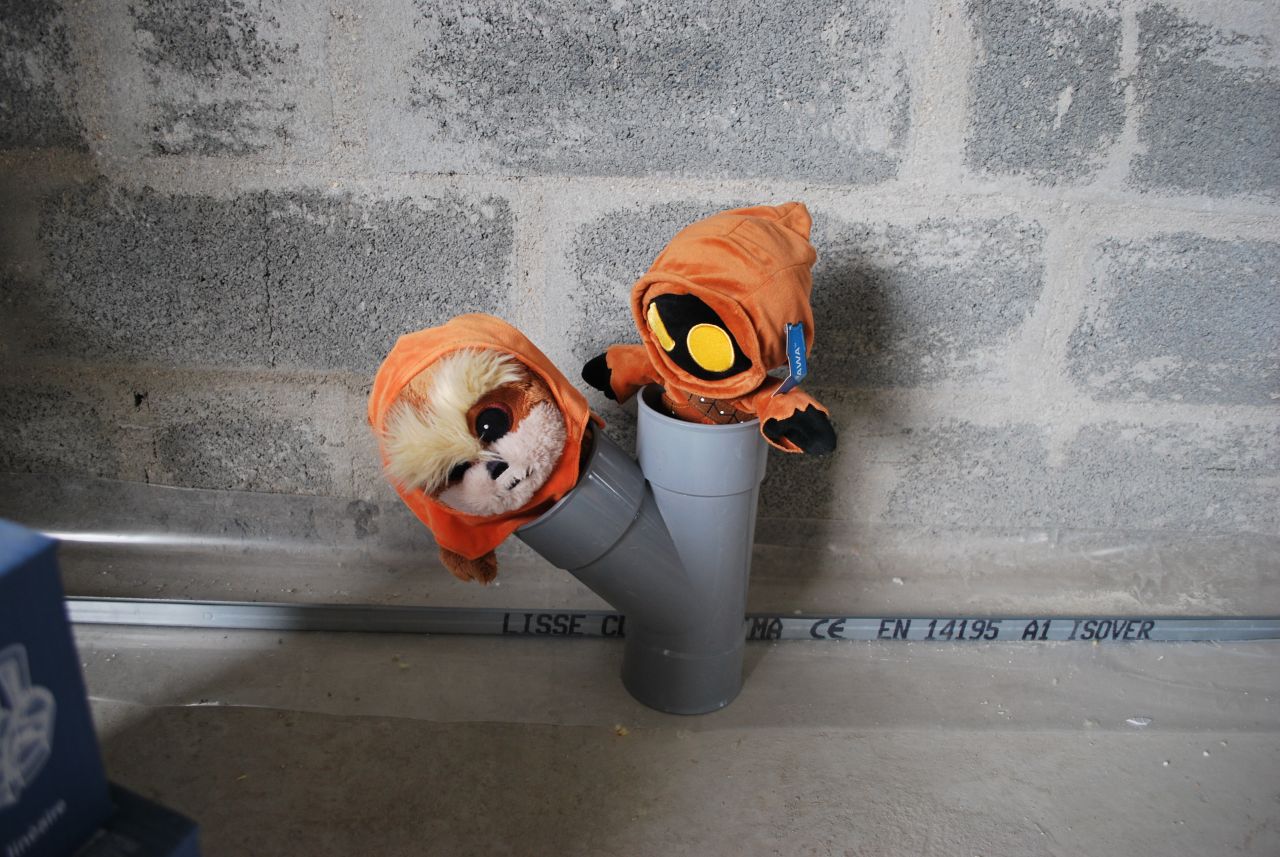 les mascottes font leur show !