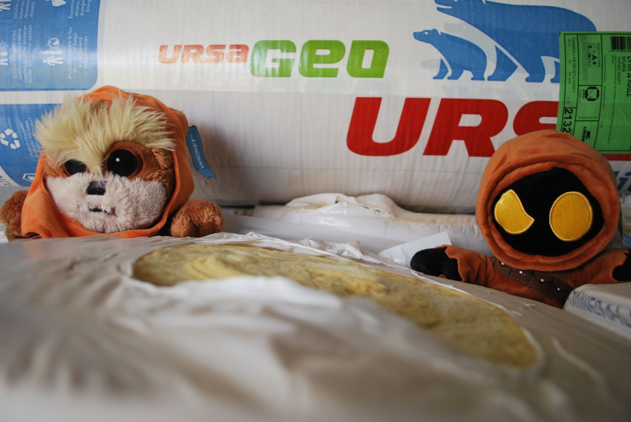 les mascottes font leur show !