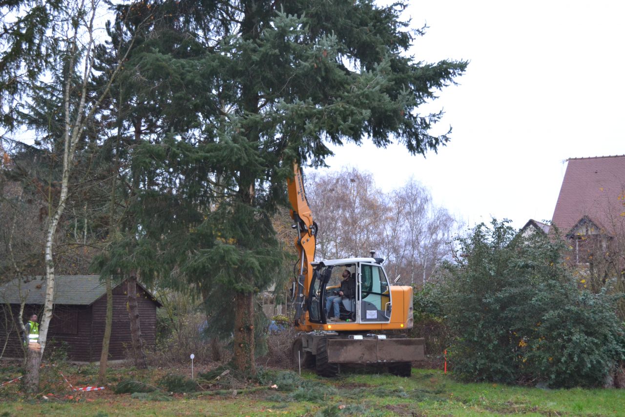 Notre terrain avant le dbut du chantier