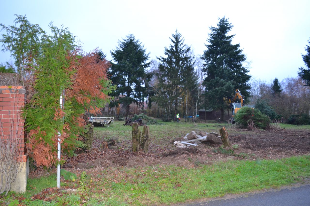 Notre terrain avant le dbut du chantier