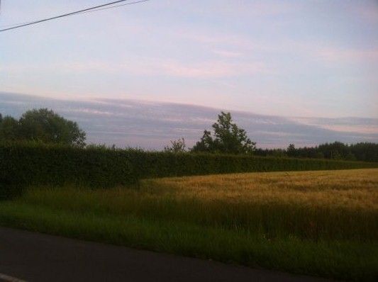 Prise de vue du terrain lors de l'achat