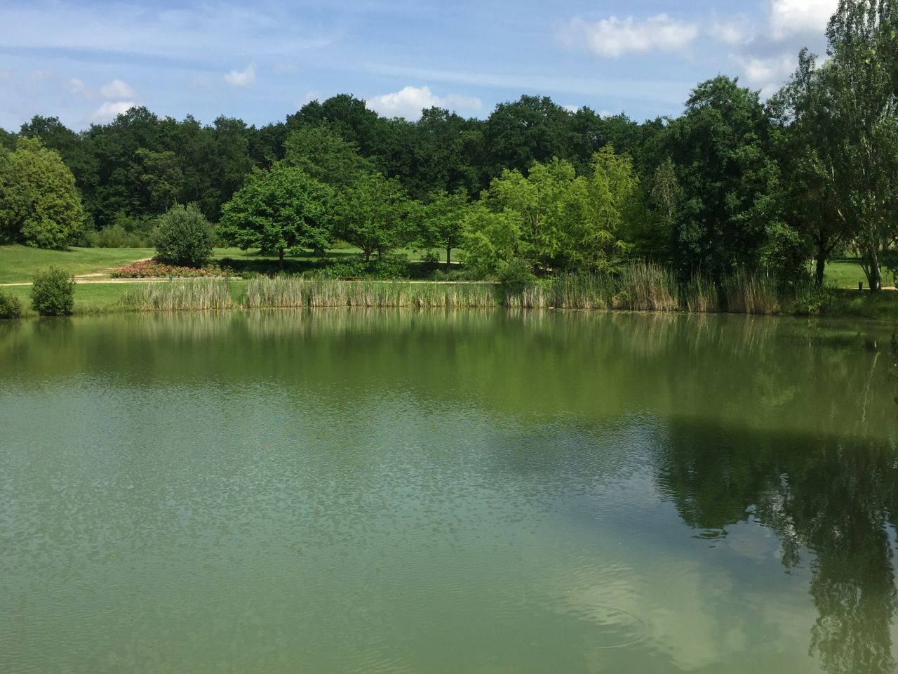 Etang avec sentier de promenade  deux pas de notre maison