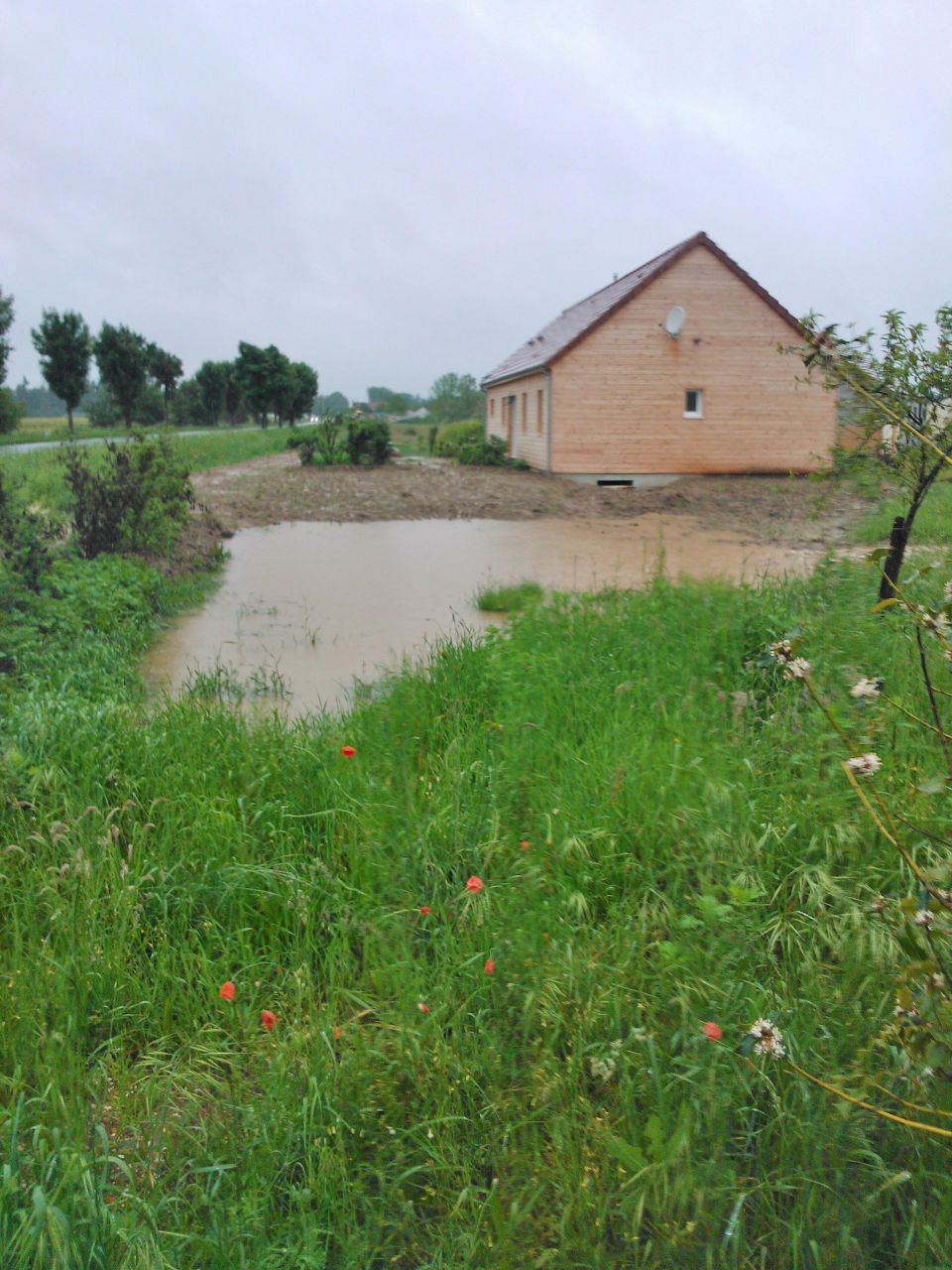 aprs plusieurs jours de pluie la terre n'a plus soif!