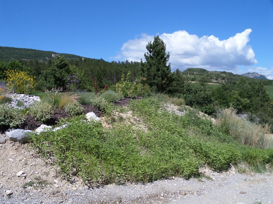 Butte sud