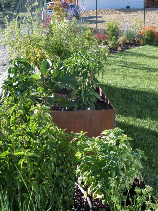 Carrés potagers