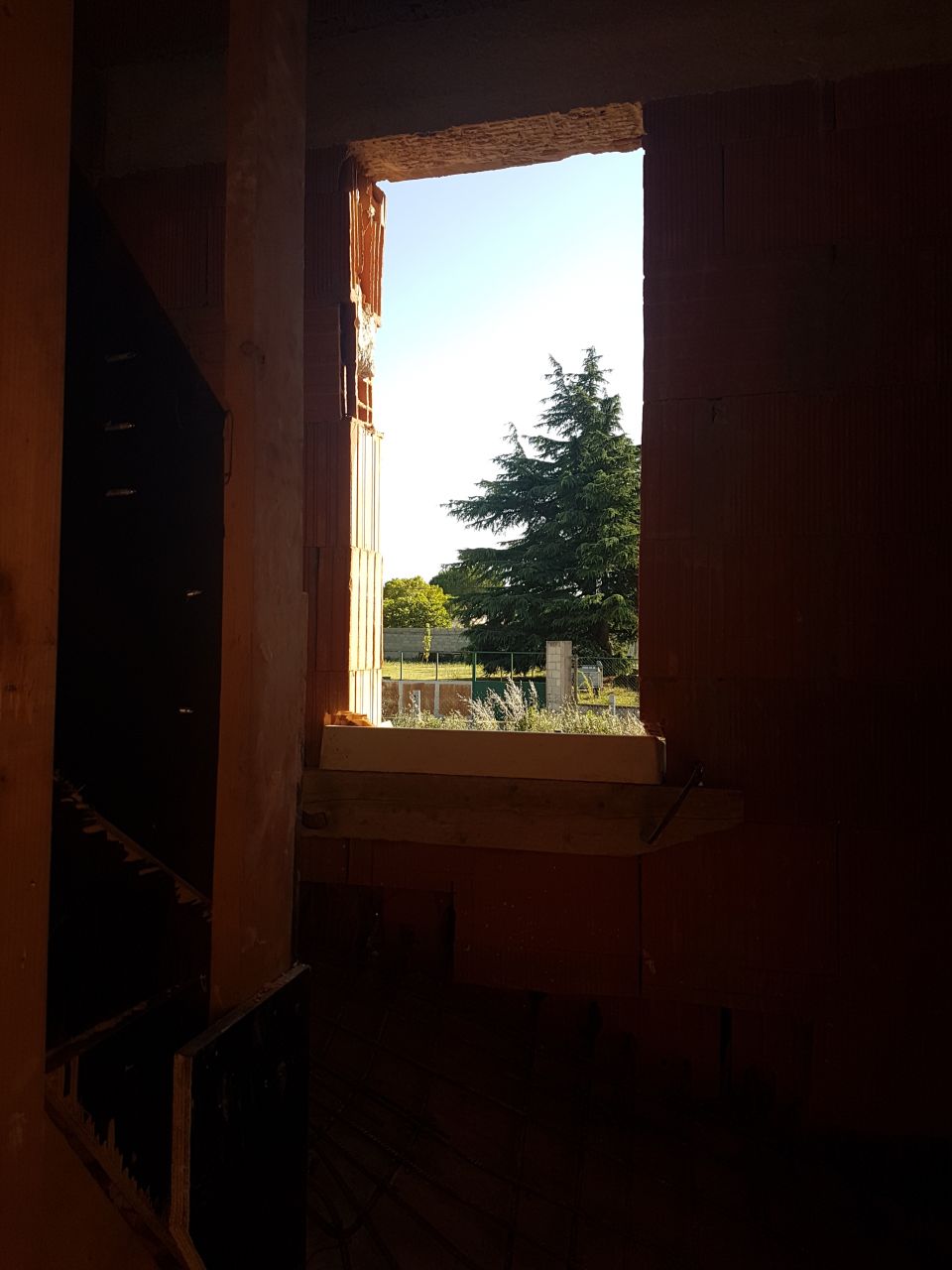 Soleil couchant à travers mon précieux