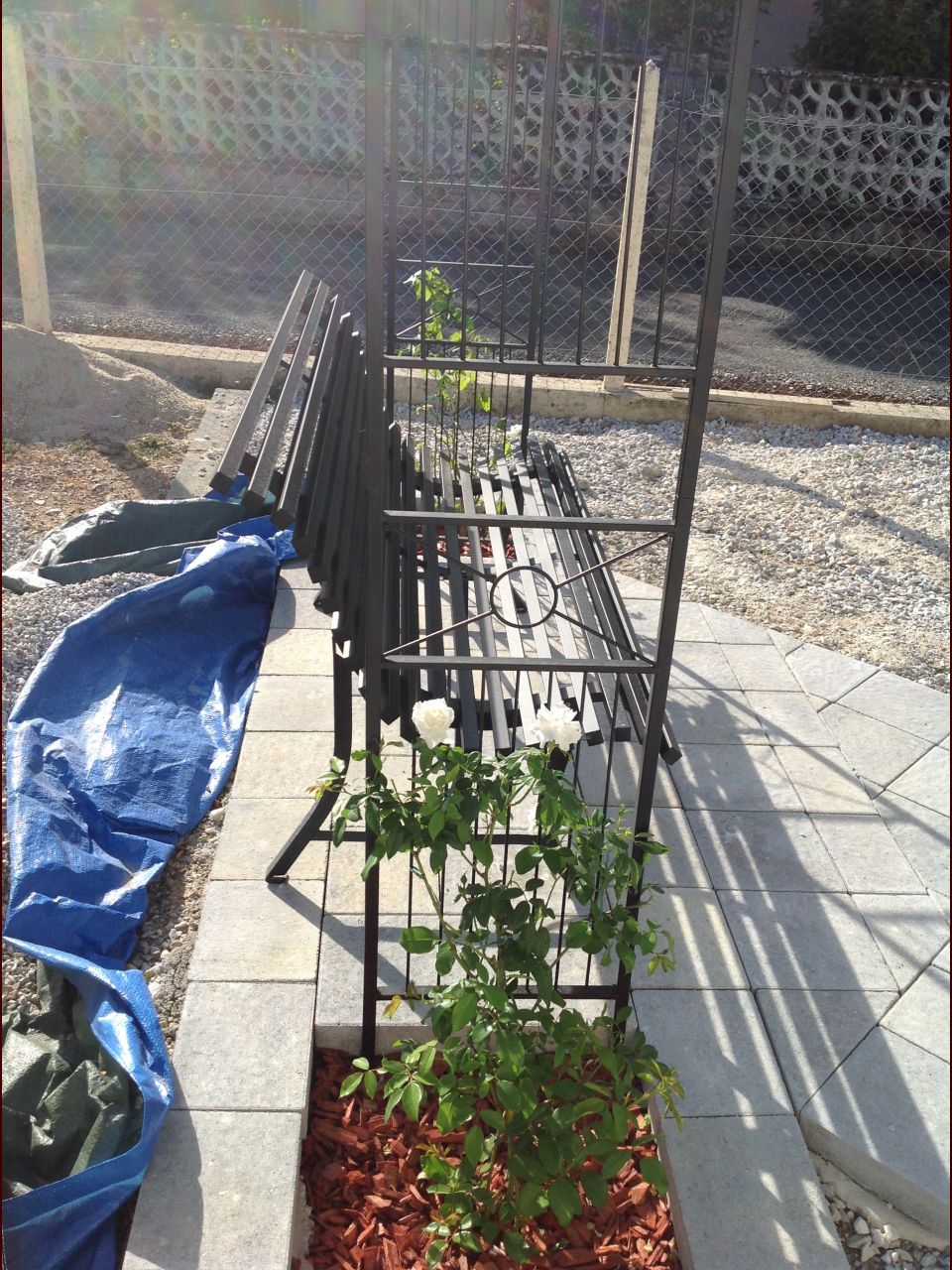 Le futur jardin zen en travaux
<br />
Les rosiers poussent