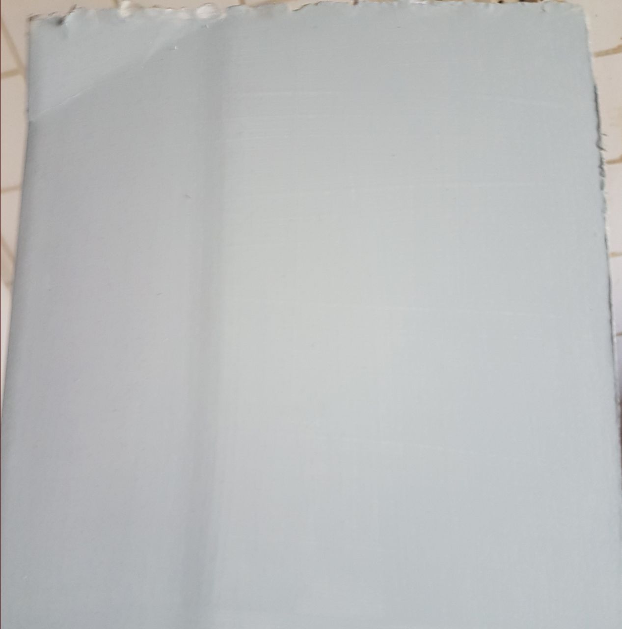 Parma gray