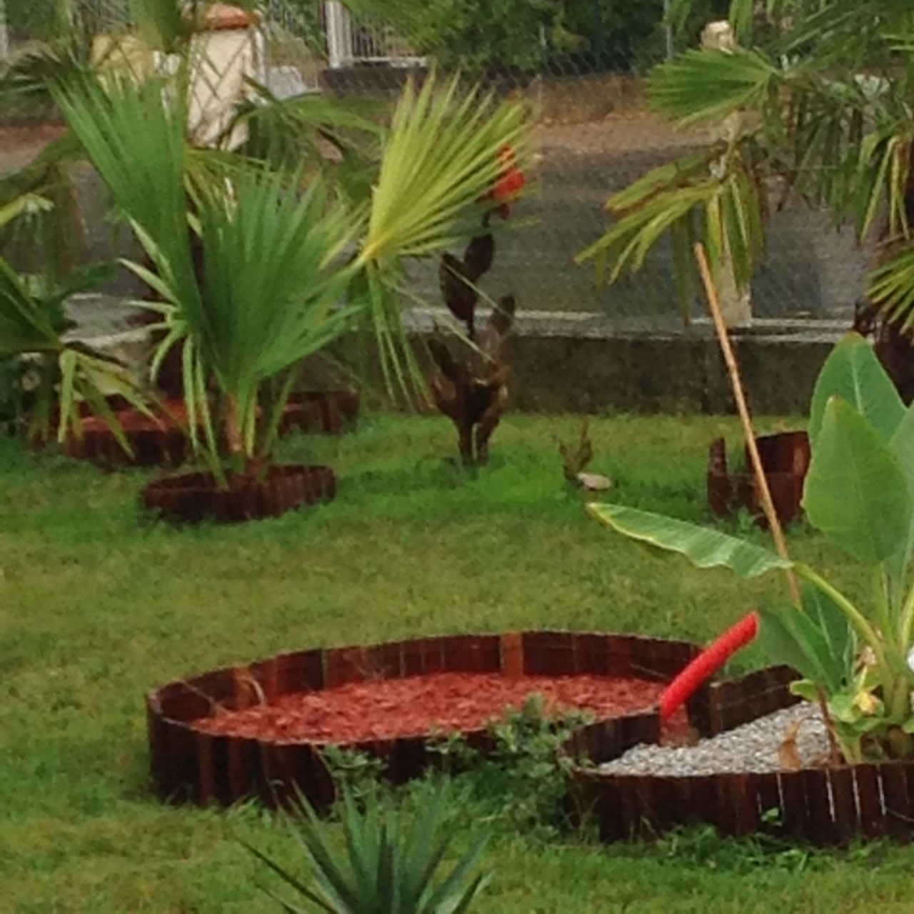Le jardin sous la pluie