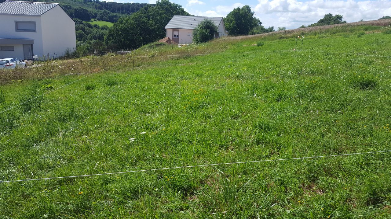 Implantation de la maison sur le terrain avec le maon