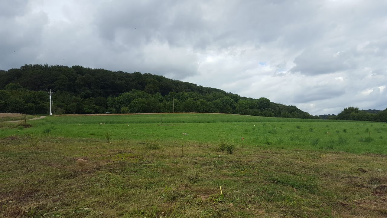 Implantation de la maison sur le terrain avec le maon