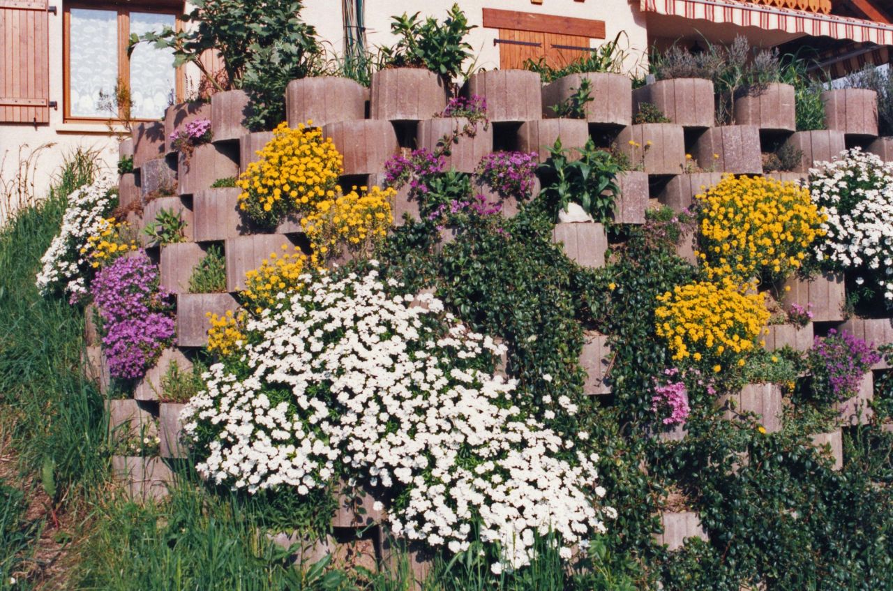 Mur de soutènement de la terrasse