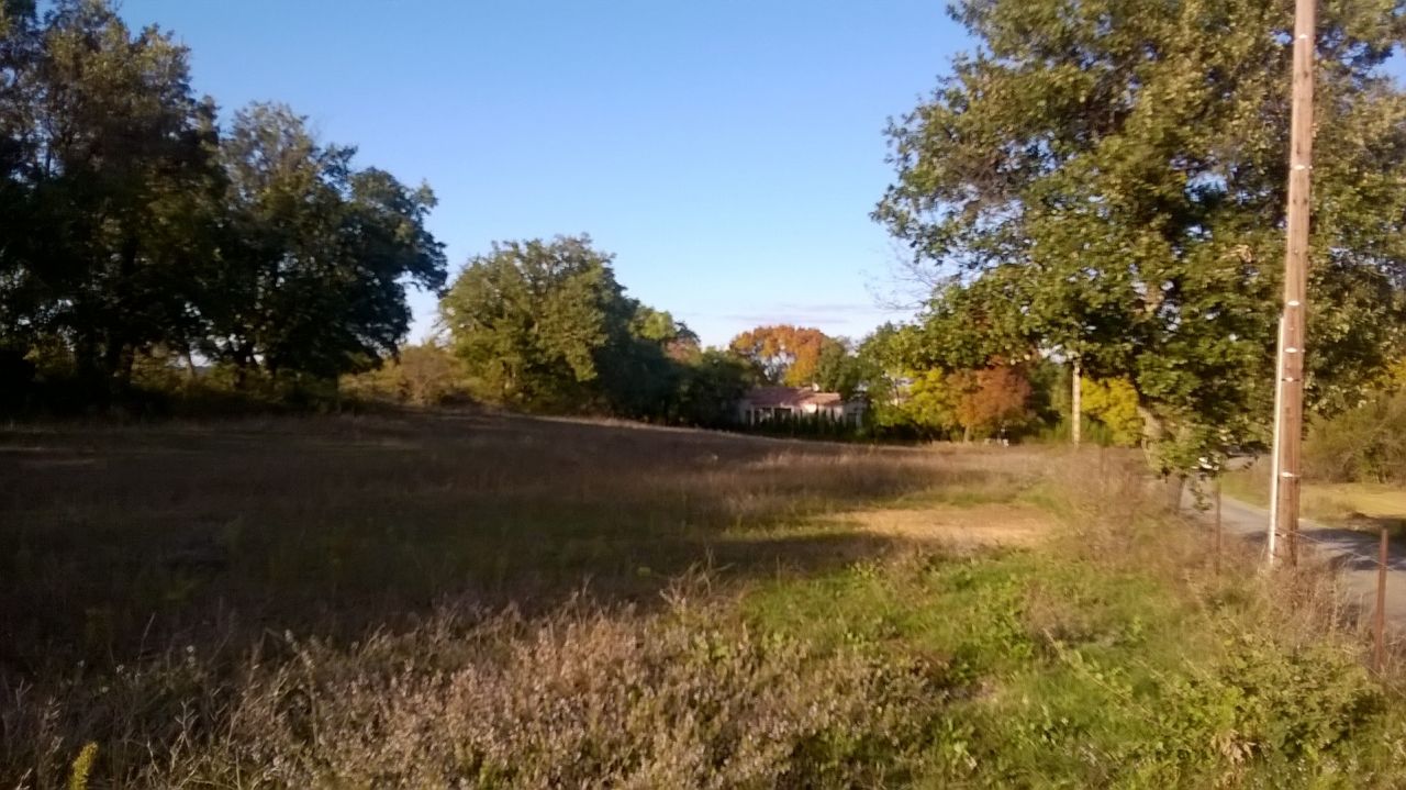 depuis le bord de route